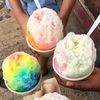 coconutgirls